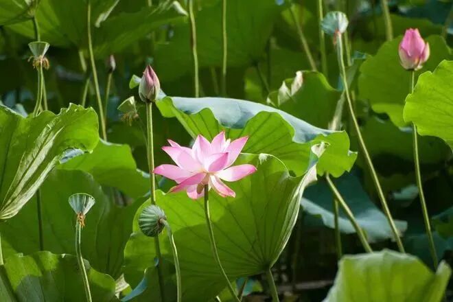 “请神容易送神难”的正解是这样的